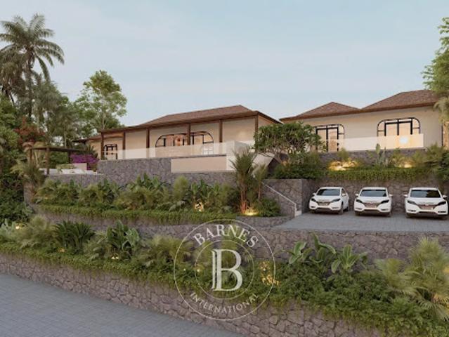 Vente Terrain 10842 m2 Saint Barthélemy