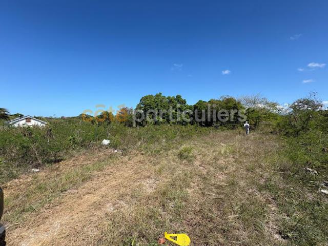 Vente Terrain 1088 m2 Anse bertrand