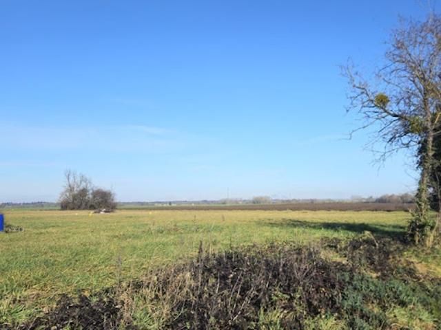 Vente Terrain 1090 m2 Escurolles