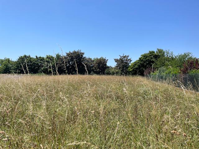 Vente Terrain 1090 m2 Martres Tolosane