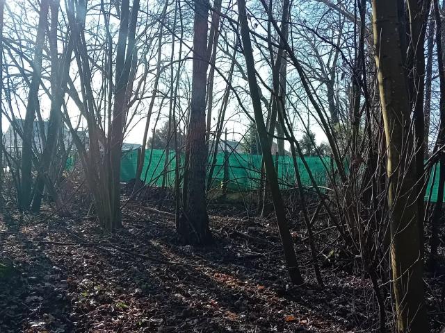 Vente Terrain 10 555 m²