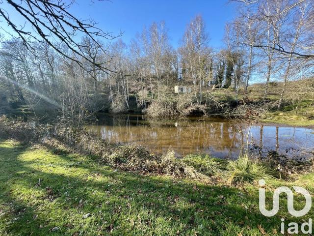 Vente Terrain 10 600 m²