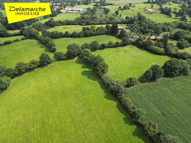 Vente Terrain 110000 m2 La Chapelle Cécelin