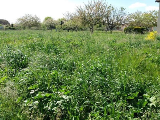 Vente Terrain 1100 m2 Bragayrac