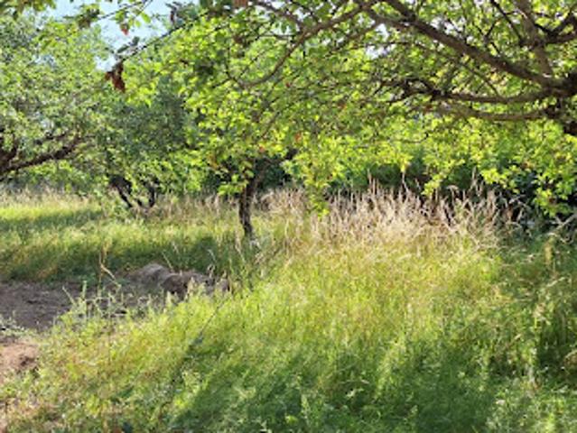 Vente Terrain 1100 m2 Brax