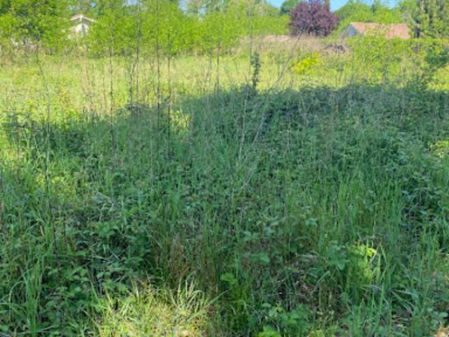 Vente Terrain 1100 m2 Gujan Mestras