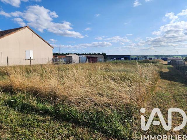 Vente Terrain 1100 m2 Doussay