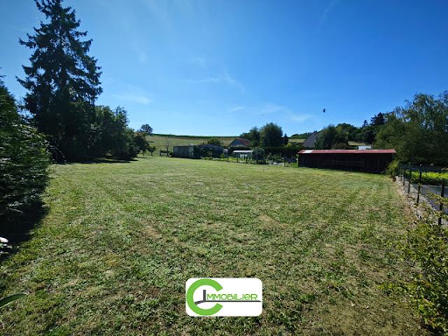 Vente Terrain 1100 m2 Dollon