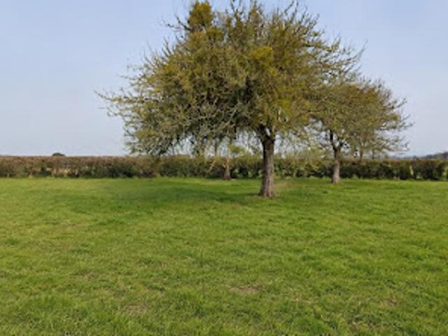 Vente Terrain 1100 m2 Le Tronquay