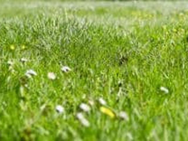 Vente Terrain 1100 m2 Naintre