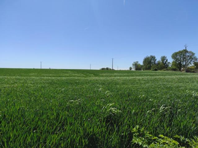 Vente Terrain 1100 m2 Sainte Marie de Vatimesnil