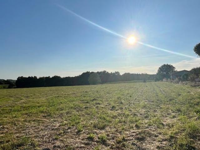 Vente Terrain 1100 m2 Salles de Barbezieux