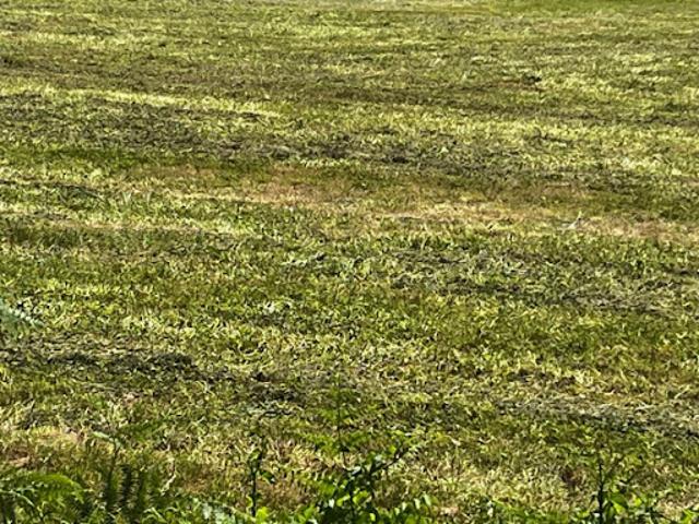 Vente Terrain 1100 m2 Tesson
