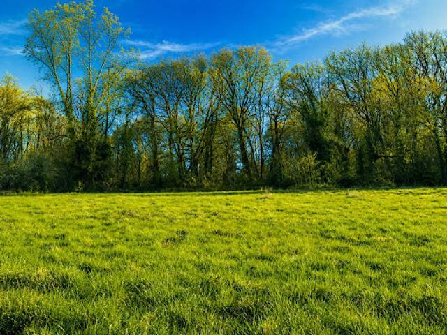 Vente Terrain 1100 m2 Trélissac