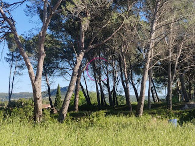 Vente Terrain 1100 m2 Ventabren