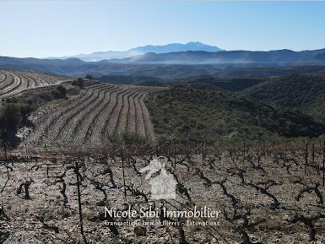 Vente Terrain 11020 m2 Rasiguères