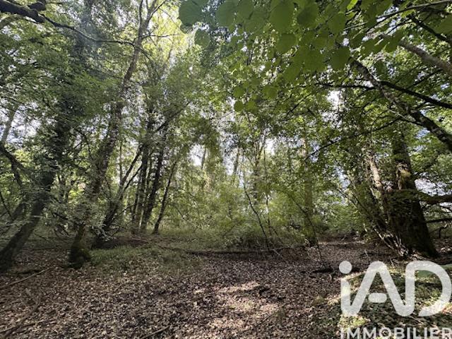 Vente Terrain 11070 m2 Massay