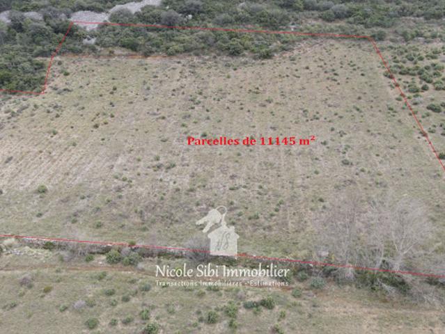 Vente Terrain 11145 m2 Estagel
