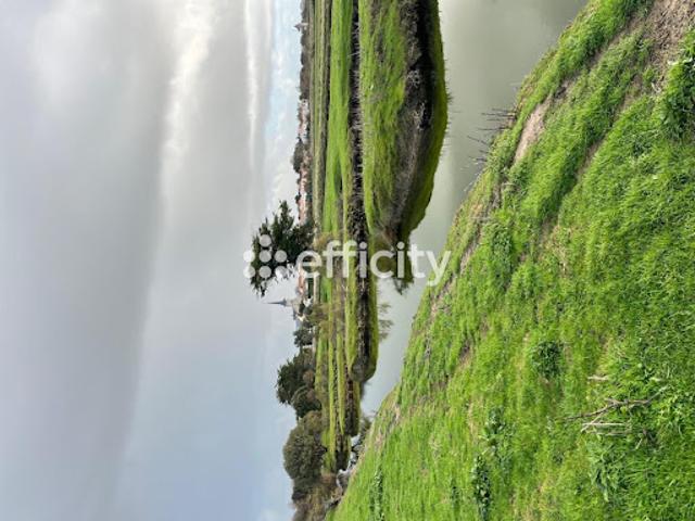 Vente Terrain 11140 m2 L'Ile d'Olonne