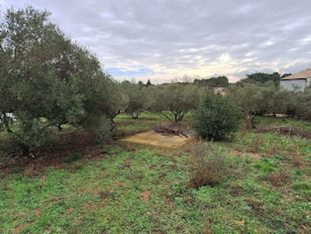 Vente Terrain 1114 m2 Aubais