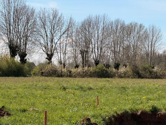 Vente Terrain 1115 m2 Thérondels