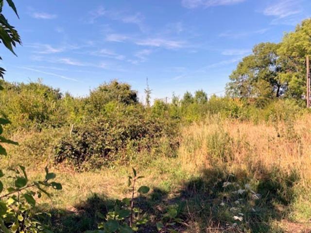 Vente Terrain 1117 m2 Cerisiers