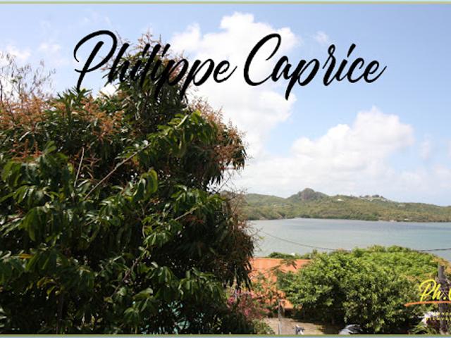 Vente Terrain 1118 m2 Le francois