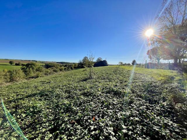 Vente Terrain 11232 m2 Bellegarde