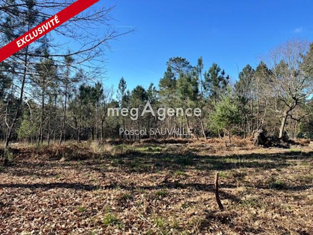 Vente Terrain constructible 1124 m2 Chancelade