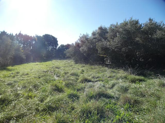 Vente Terrain 1130 m2 Uzès