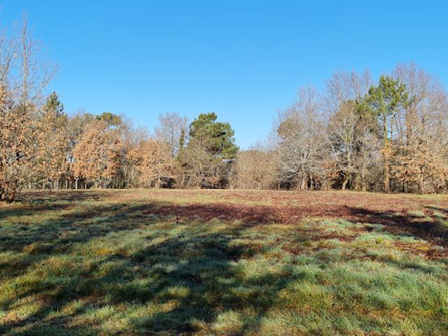 Vente Terrain 11408 m2 Mussidan