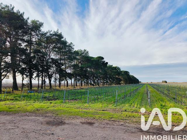 Vente Terrain 1140000 m2 Le Grau du Roi