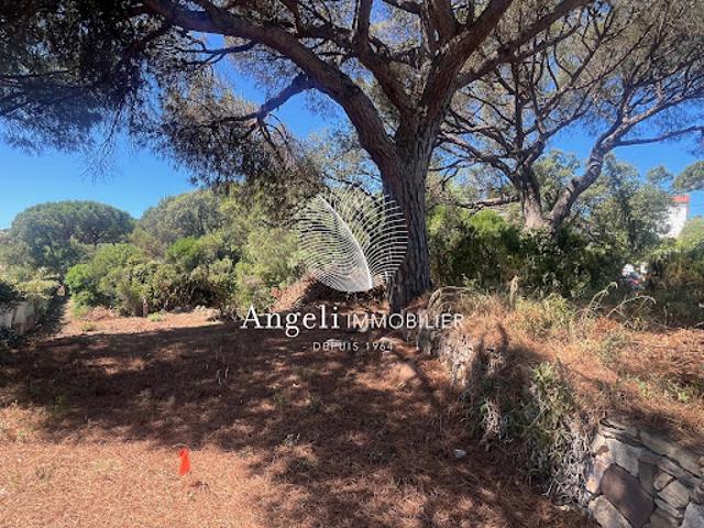 Vente Terrain 1141 m2 Saint aygulf
