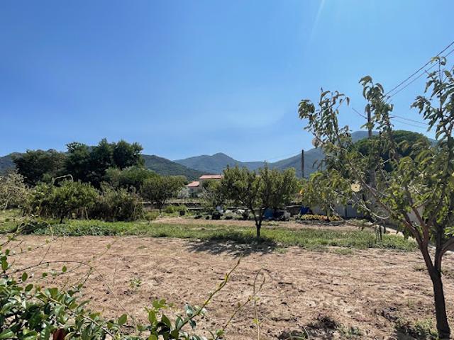 Vente Terrain 1142 m2 Sorède