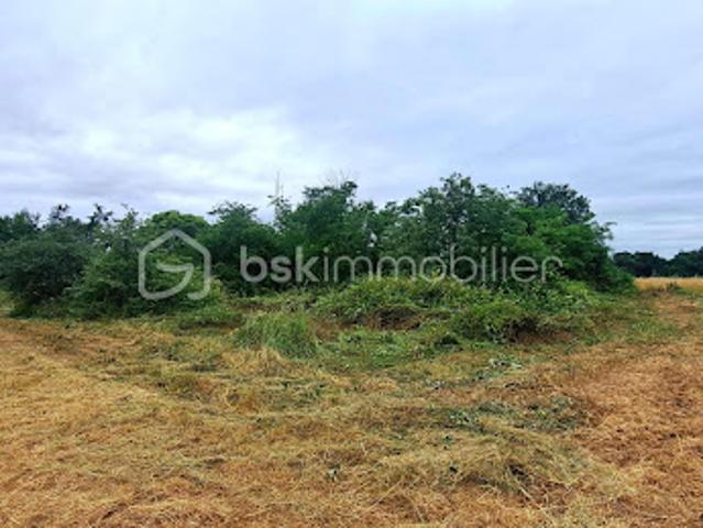 Vente Terrain 1143 m2 Peyssies