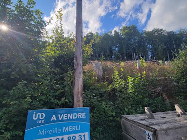 Vente Terrain 1147 m2 Bourbach le Haut