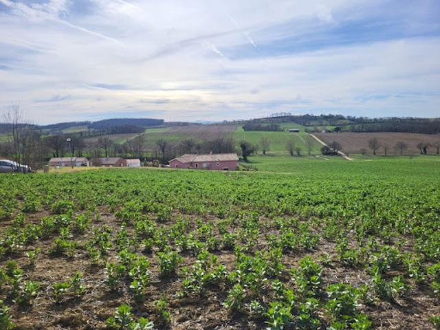 Vente Terrain 1148 m2 Puycasquier