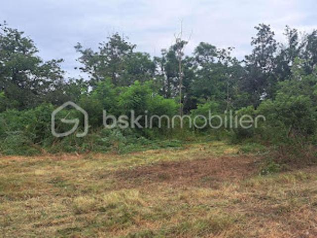 Vente Terrain 1151 m2 Peyssies