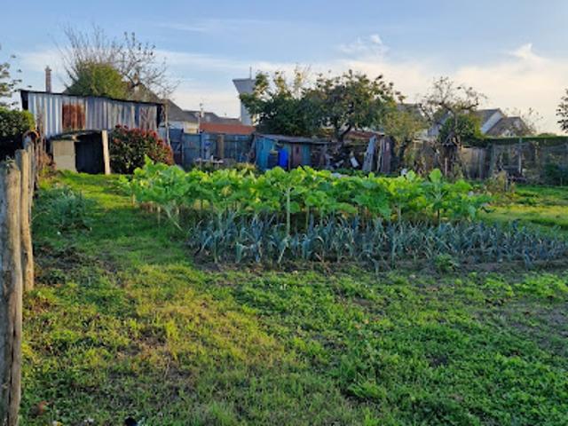 Vente Terrain 1155 m2 Antrain