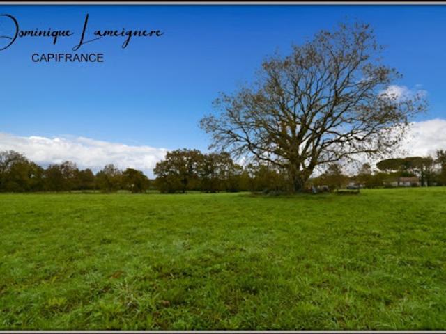 Vente Terrain 1156 m2 Saint Cricq du Gave