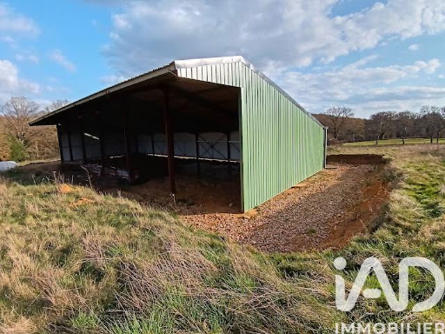 Vente Terrain 11588 m2 Villiers Saint Benoît