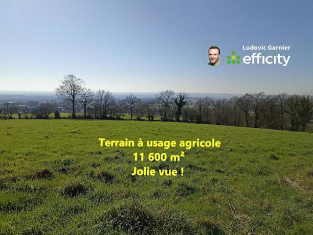 Vente Terrain 11600 m2 Romagny