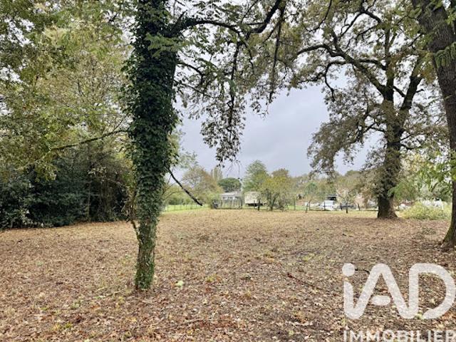 Vente Terrain 1163 m2 Louchats