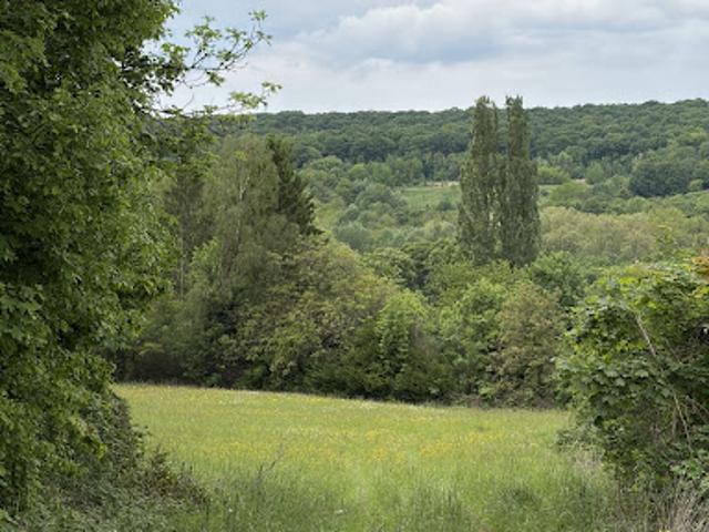 Vente Terrain 11700 m2 Chateau thierry