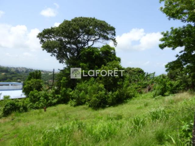 Vente Terrain 1173 m2 Fort de france