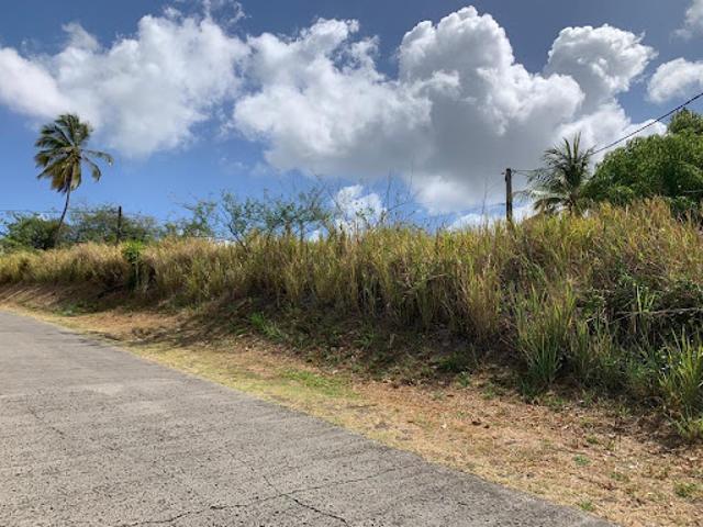 Vente Terrain 1175 m2 Riviere salee
