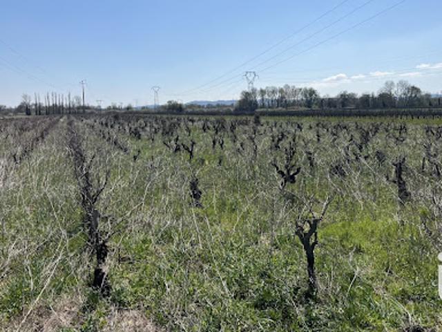 Vente Terrain 11765 m2 Codolet