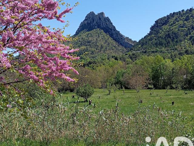 Vente Terrain 11771 m2 Buis les Baronnies