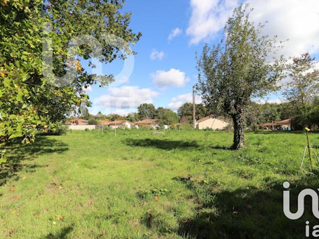 Vente Terrain 1177 m2 Panazol