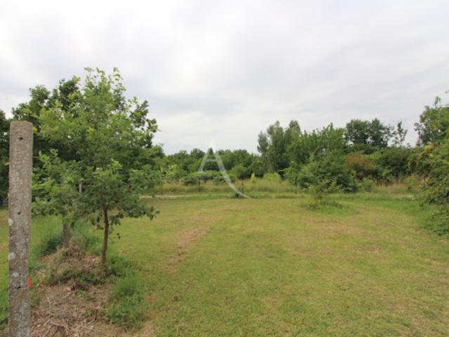Vente Terrain 1229 m2 Montauban